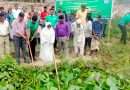 জয়পুরহাট পৌরসভার ৩ কিলোমিটার খাল পরিষ্কার অভিযান শুরু