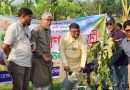 জয়পুরহাটে বৃক্ষরোপণ কর্মসূচির উদ্বোধন
