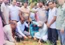 বগুড়ায় টিএমএসএস মাদ্রাসায় বৃক্ষরোপণ কর্মসূচি উদ্বোধন