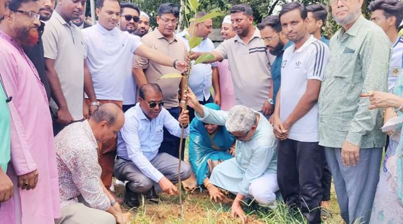 বগুড়ায় টিএমএসএস মাদ্রাসায় বৃক্ষরোপণ কর্মসূচি উদ্বোধন
